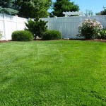 It’s Time To Start Thinking About Your Spring Yard